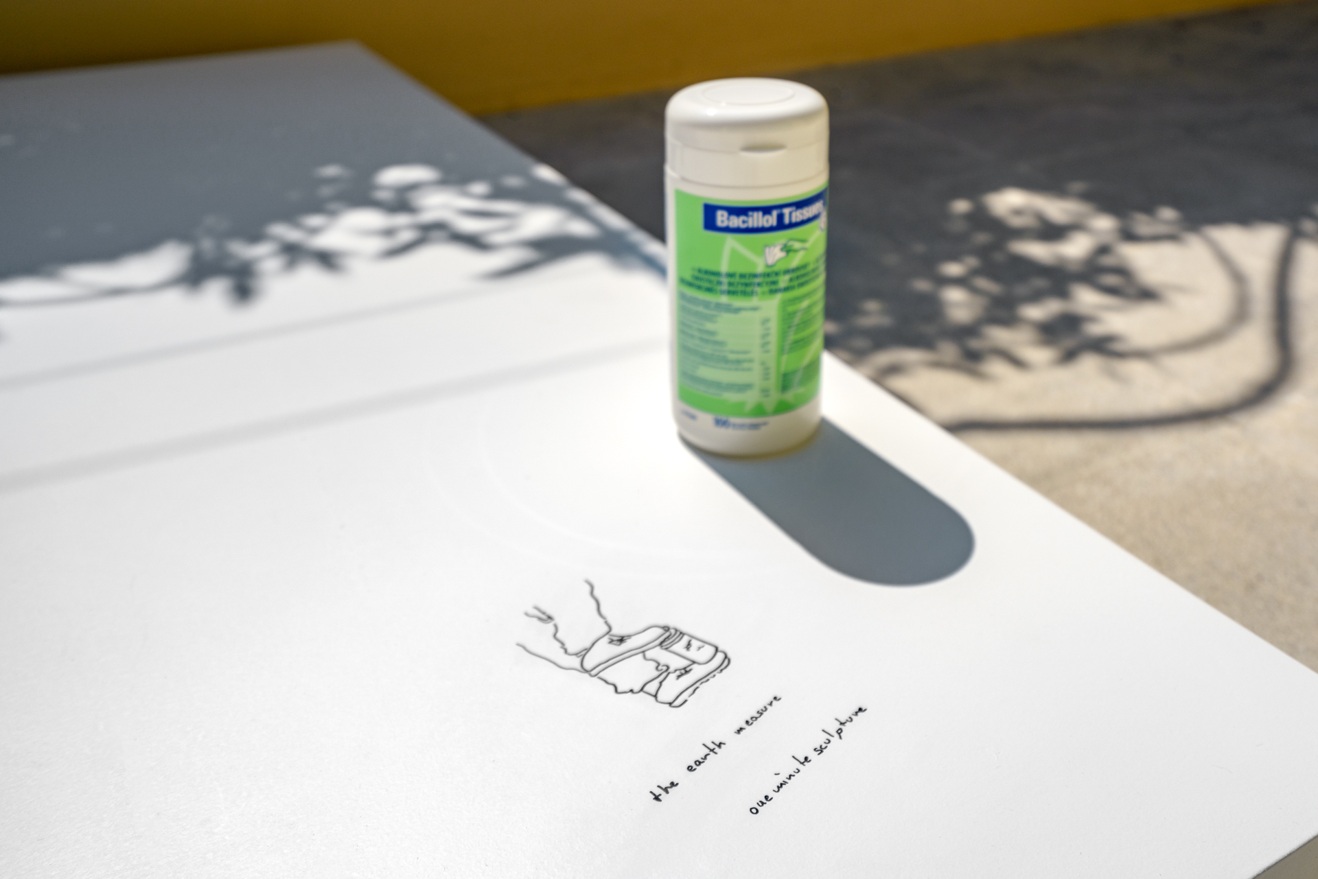 erwin-wurm-one-minute-sculpture-artflyer