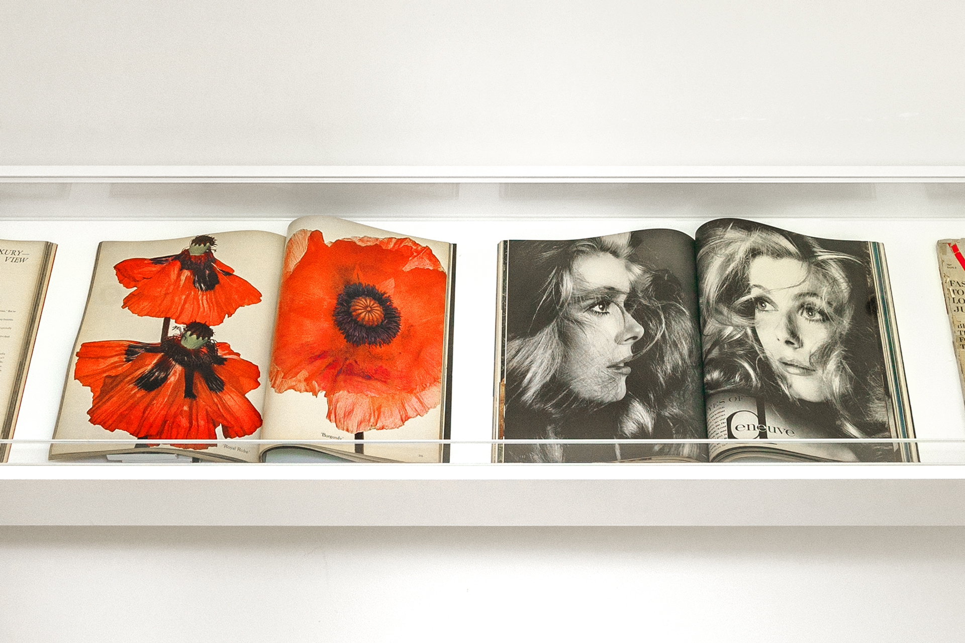 harold-koda-artflyer-tenth-anniversary